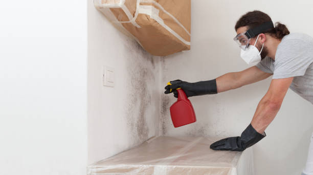 Professional Mold Cleanup technician working in Sadsburyville, PA